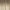 Ombre Coconut Frost Weft Hair Extensions